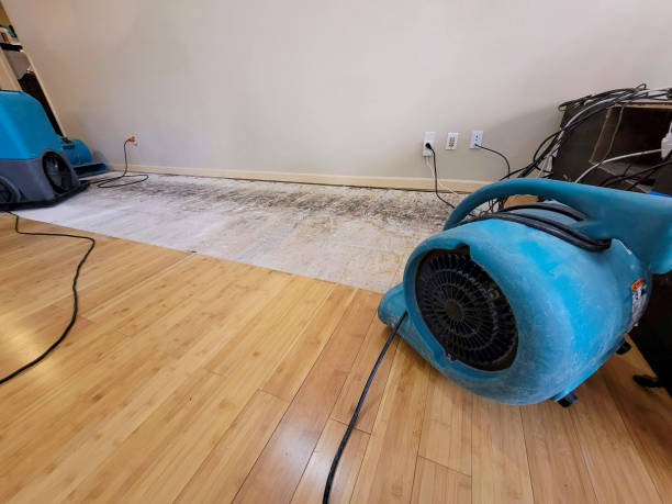 Professional Ceiling Water Damage Repair technician working in Sartell, MN